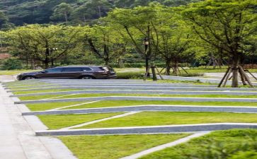环境大学调查报告8篇