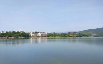 湖长述职情况报告推荐8篇