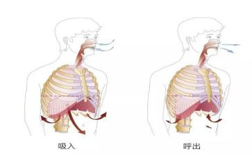 呼吸内科年度总结5篇