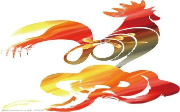 炒鸡蛋饭作文500字7篇