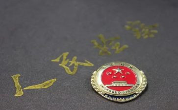 检察官的心得体会7篇