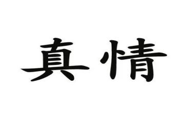 感情真情作文5篇