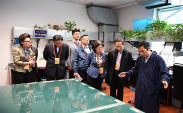 监委会半年总结7篇