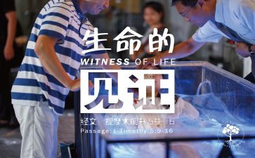 我见证了作文推荐7篇