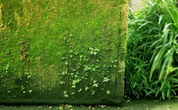 阿勒泰的角落的读后感7篇