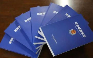 个人稽查工作总结5篇