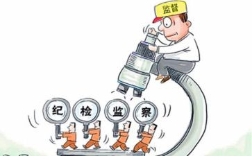 个人纪检工作年度总结7篇