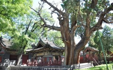晋祠游玩后心得6篇
