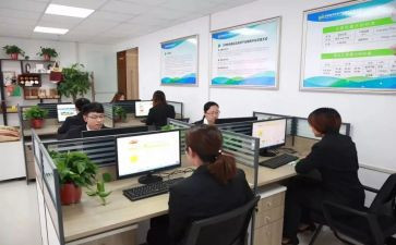 幼儿教师晋岗述职报告参考6篇