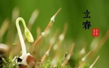 幼儿二十四节气教案6篇