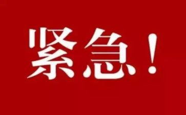《紧急迫降》观后感6篇