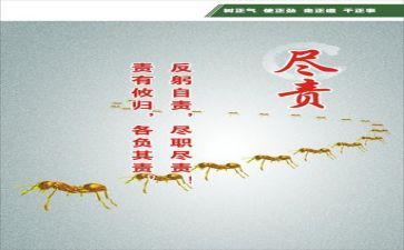 尽责心得体会6篇