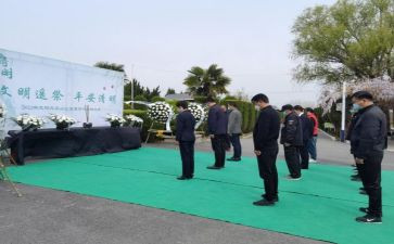 网络祭扫活动方案6篇