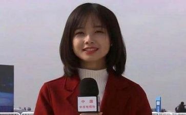 记者2024年工作总结5篇