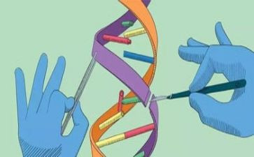 四年级上册科学教学计划上册7篇