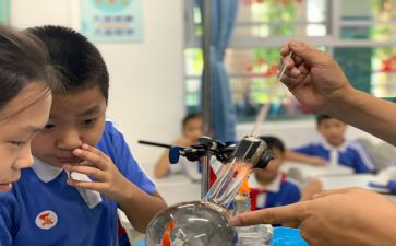 小学科学课培训心得体会6篇