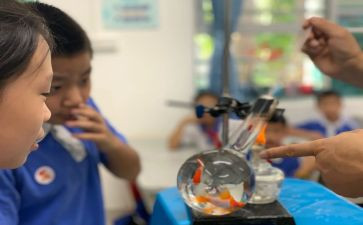 小学科学课培训心得5篇