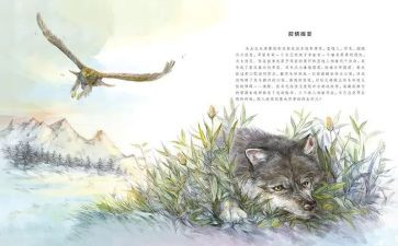 狼王梦的读后感700字7篇