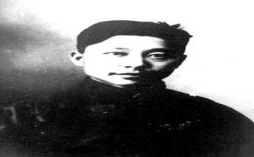老舍养花读后感5篇