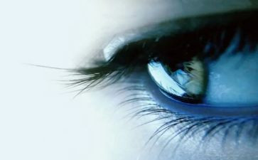 幸福的泪水作文600字作文8篇