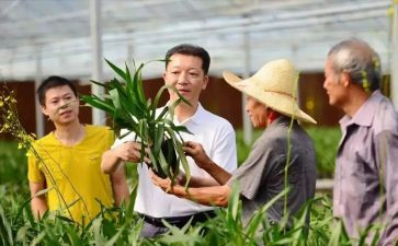 廖俊波心得体会8篇