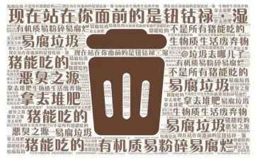 学垃圾分类的心得体会6篇