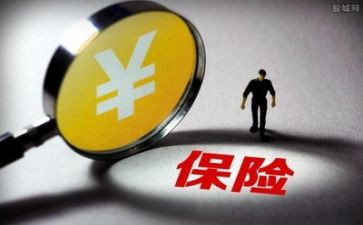 保险理赔工作个人总结5篇