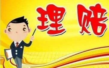 保险公司理赔工作总结8篇