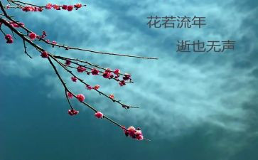 物流年终工作总结7篇