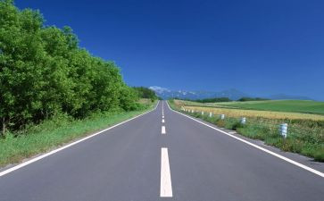 高速公路收费站年度总结7篇