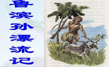 新鲁滨逊漂流记读后感精选5篇