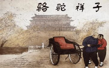 跳骆驼教案5篇