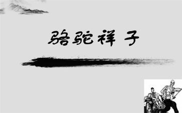 跳骆驼教案推荐6篇