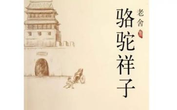 骆驼翔子读后感600字最新7篇