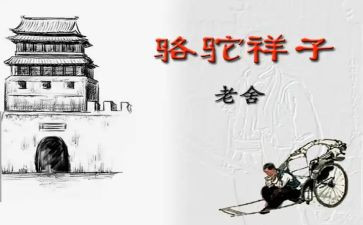 骆驼翔子读后感500字6篇