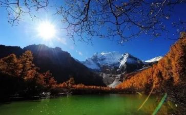 旅游业的调查报告5篇