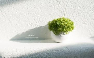 慢就业调研报告8篇