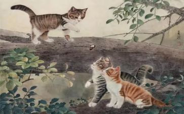 描写国宝熊猫的作文7篇