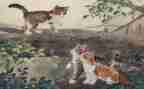 描写国宝熊猫的作文7篇