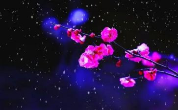 描写梅花的作文精选5篇