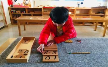 幼儿园中班蒙氏教案8篇