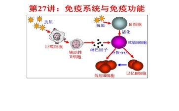 乡计划免疫工作计划8篇