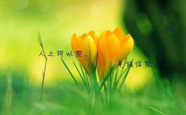 名人传,读书心得通用6篇