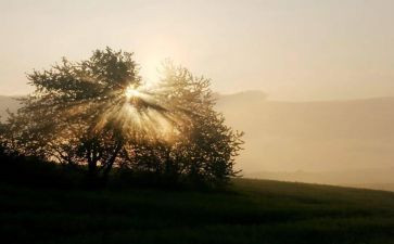 命运的作文通用6篇