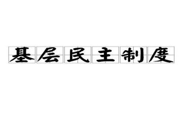 民主团员评议个人总结5篇