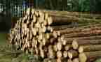 木材销售合同8篇
