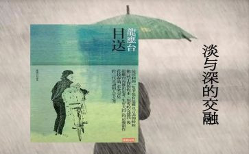 龙应台的目送读后感8篇