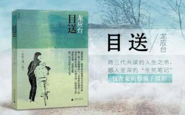 龙应台目送读后感6篇
