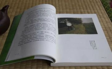 《目送》龙应台读后感6篇