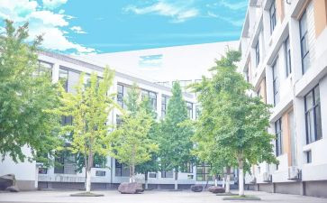回母校的演讲稿800字5篇